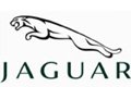 Jaguar Jaguar