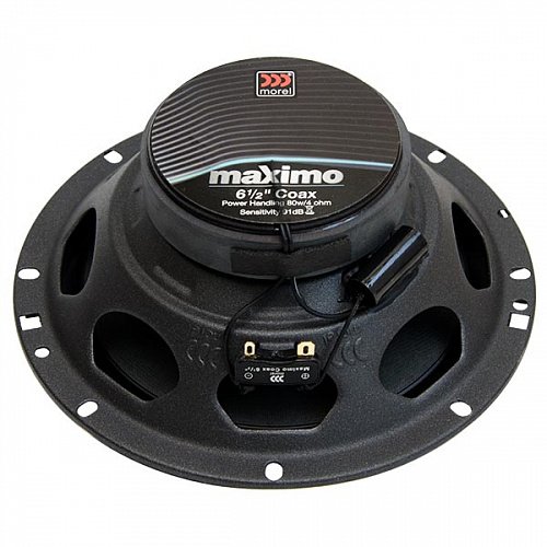 Morel Maximo Coax 6