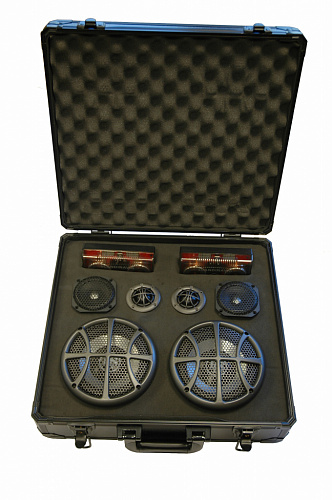 DLS Scandinavia 3 Case